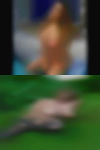 Sex partner wanting free fuck women Palos Hills.